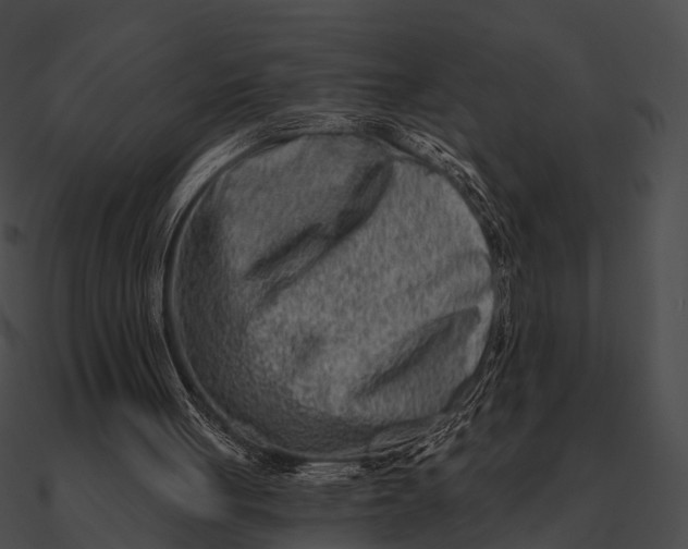 X0000090500051200708031218