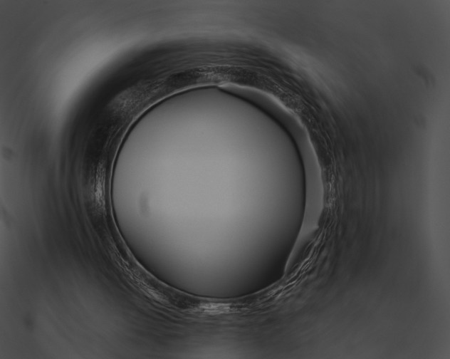 X0000090500052200708031218