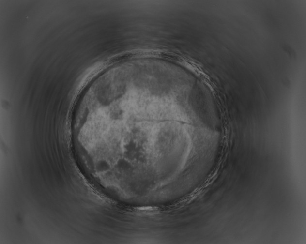 X0000090500053200708031218