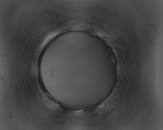 X0000090500054200708031218