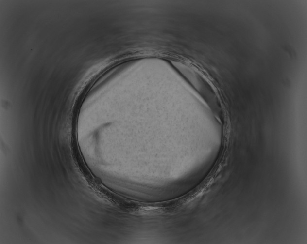 X0000090500055200708031218