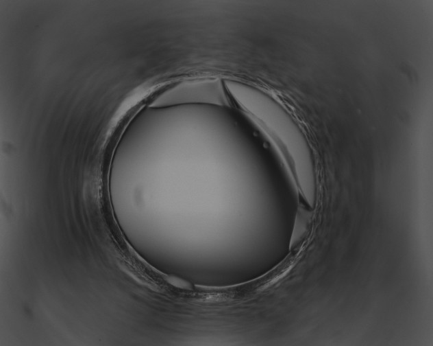 X0000090500056200708031218