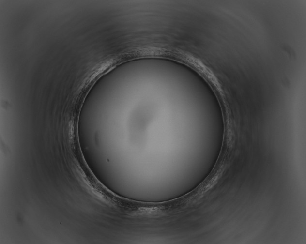 X0000090500057200708031218