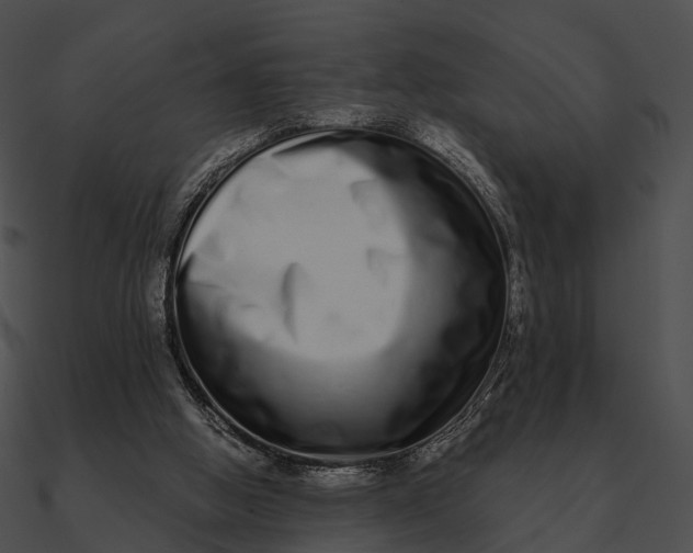 X0000090500058200708031218