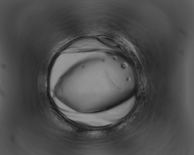 X0000090500059200708031218