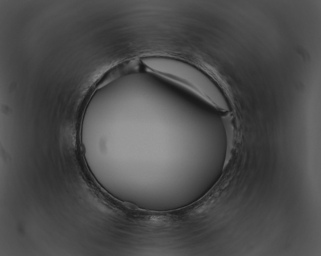 X0000090500060200708031218