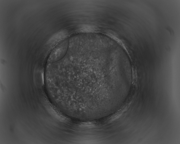 X0000090500061200708031218