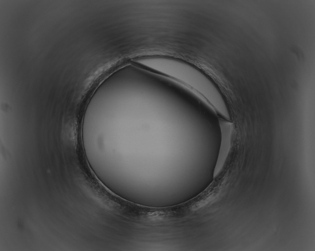 X0000090500064200708031218