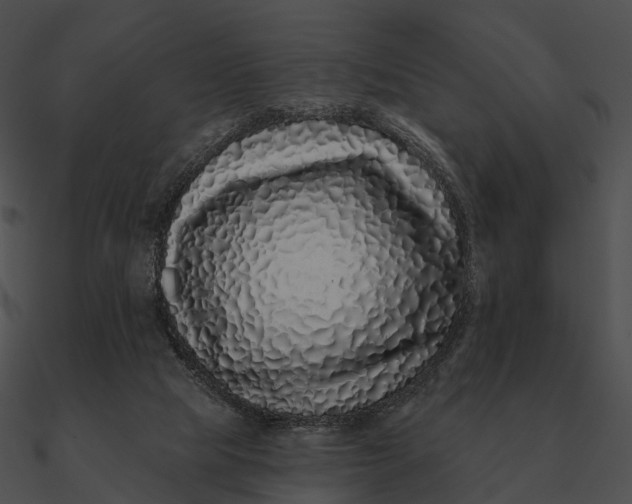 X0000090500065200708031218