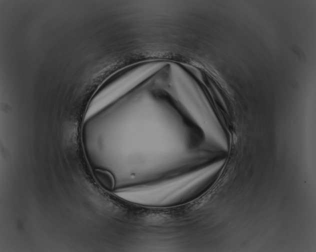 X0000090500066200708031218