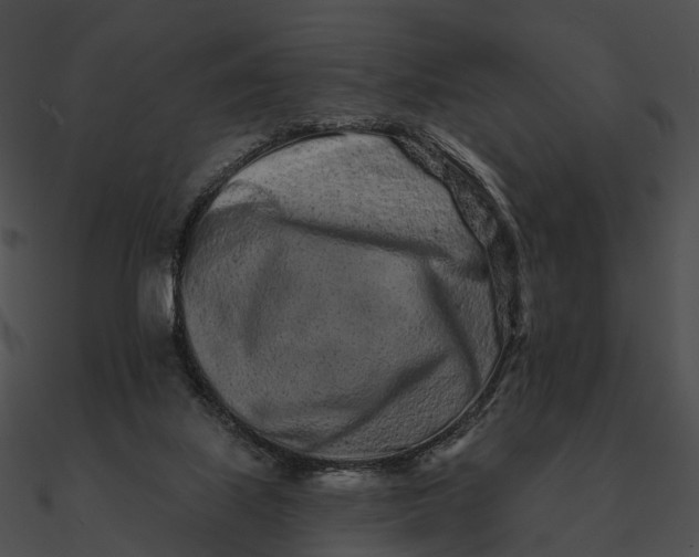 X0000090500067200708031218