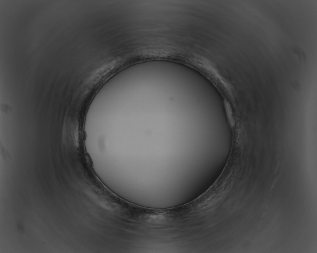 X0000090500068200708031218