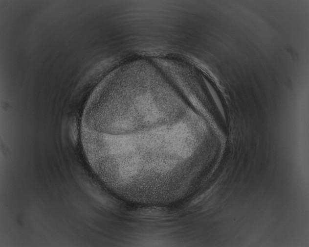 X0000090500069200708031218