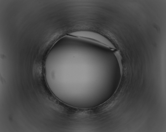 X0000090500072200708031218