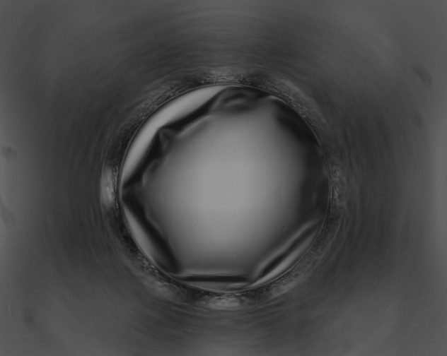 X0000090500075200708031218