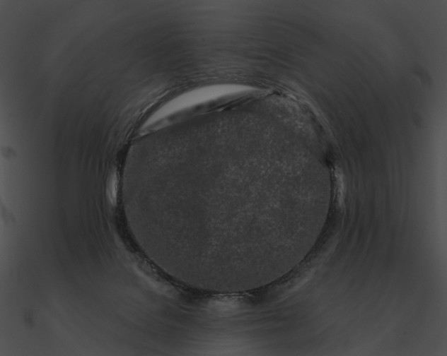 X0000090500076200708031218