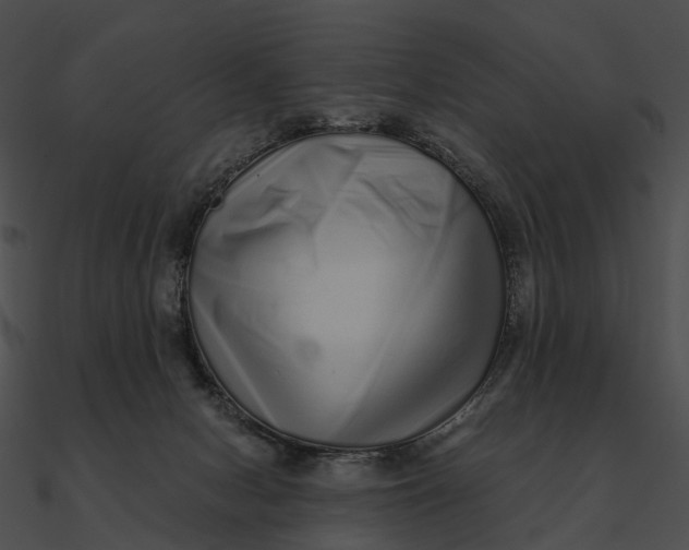 X0000090500078200708031218