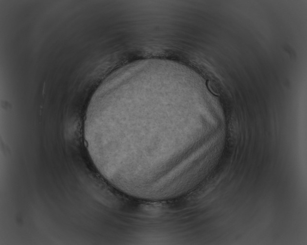 X0000090500079200708031218