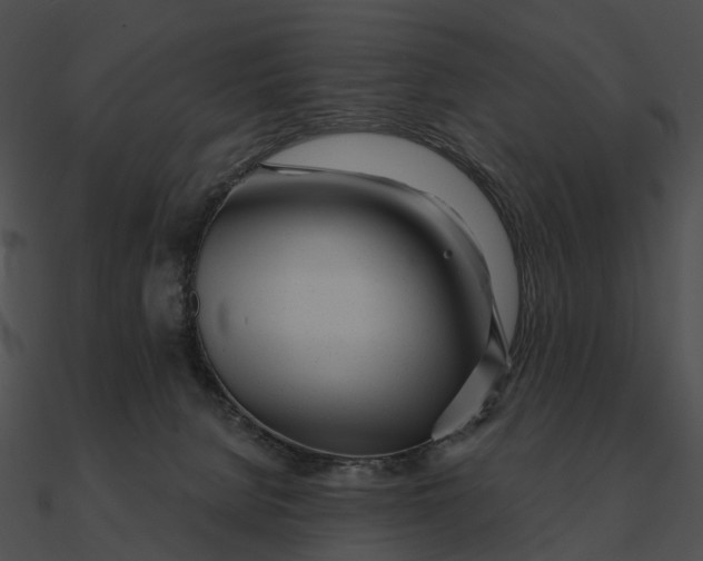 X0000090500080200708031218