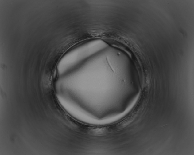 X0000090500081200708031218