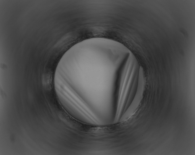 X0000090500082200708031218