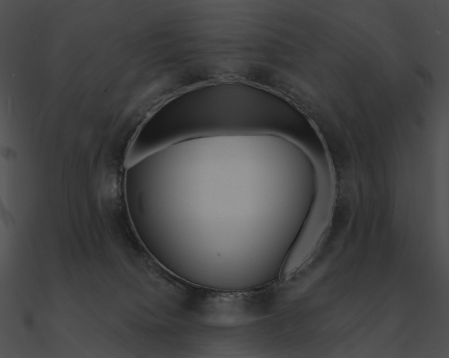 X0000090500084200708031218