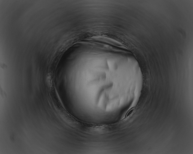 X0000090500086200708031218