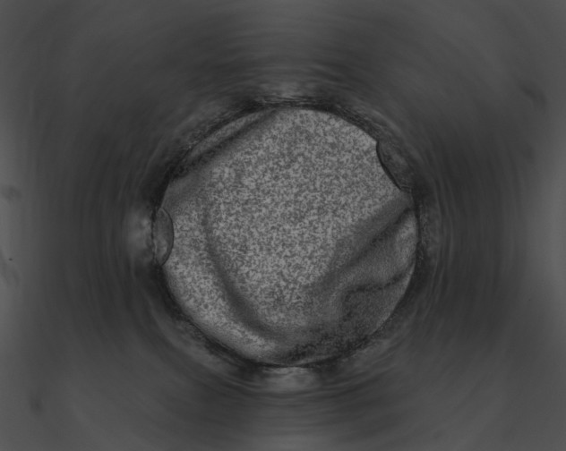 X0000090500087200708031218