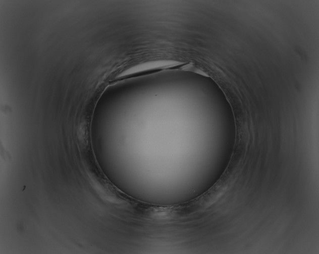 X0000090500088200708031218