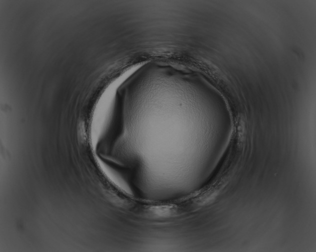 X0000090500089200708031218