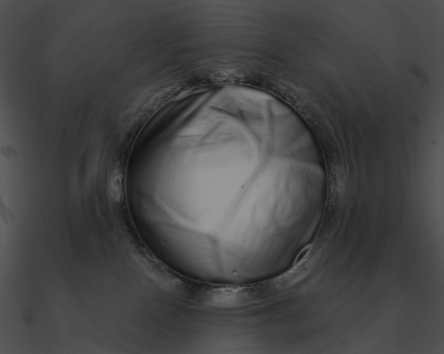 X0000090500090200708031218