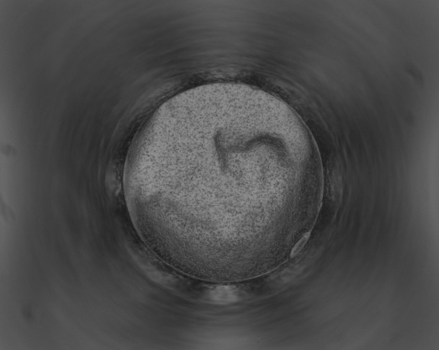 X0000090500091200708031218