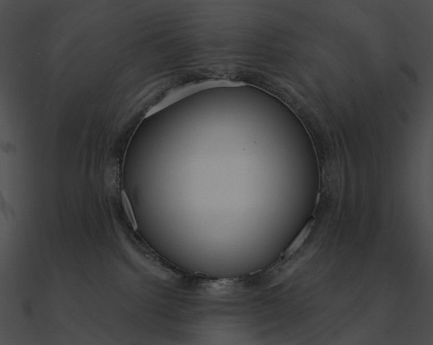 X0000090500092200708031218