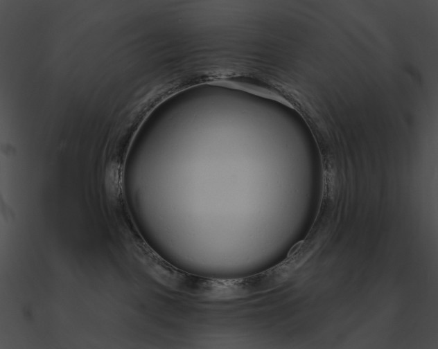 X0000090500093200708031218