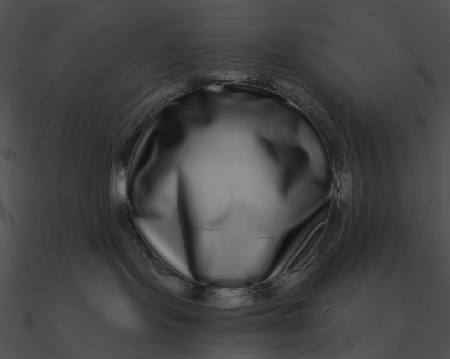 X0000090500095200708031218