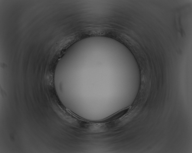 X0000090500096200708031218