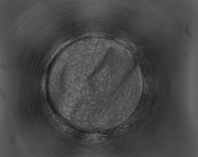 X0000090500098200708031218