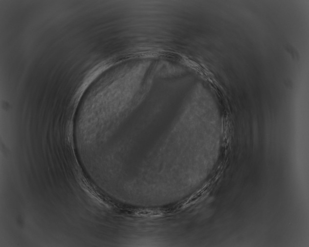 X0000090500099200708031218