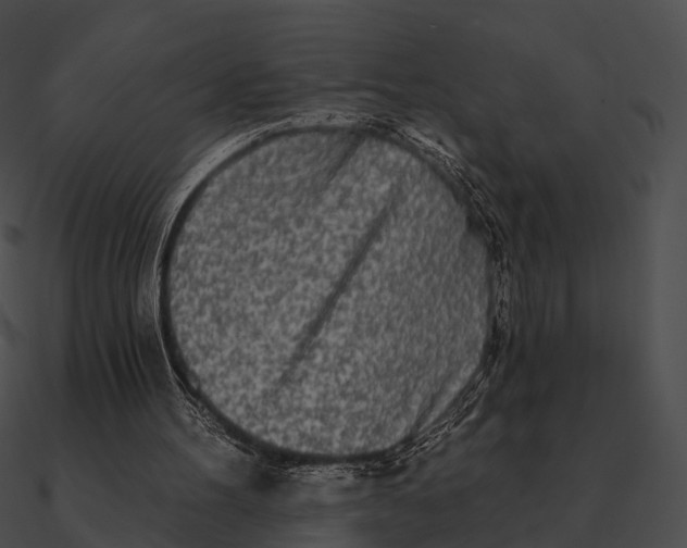 X0000090500100200708031218