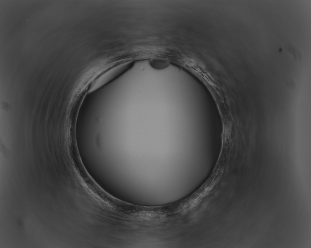 X0000090500101200708031218