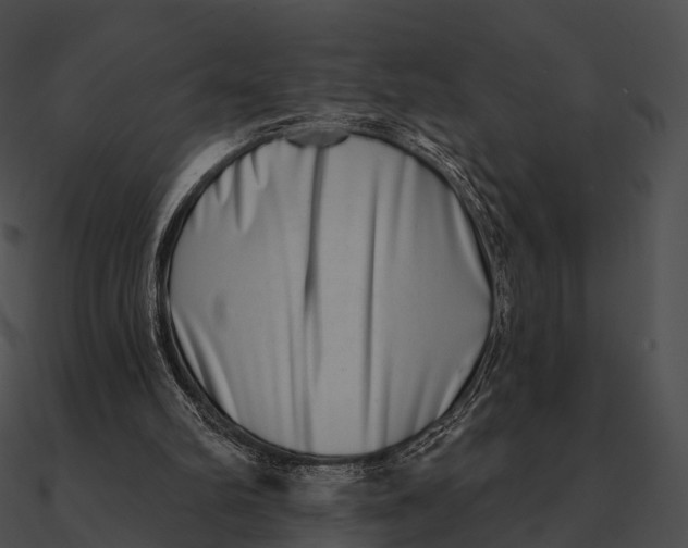 X0000090500102200708031218