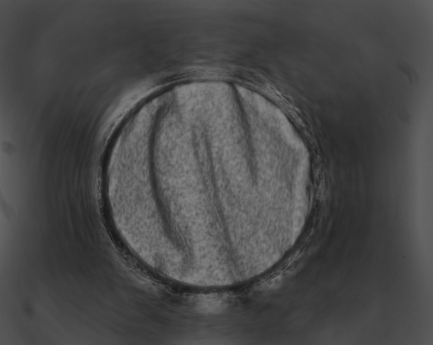 X0000090500103200708031218