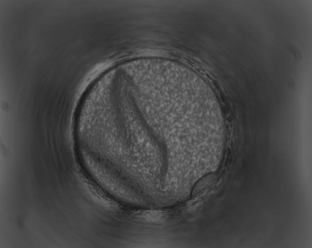 X0000090500104200708031218