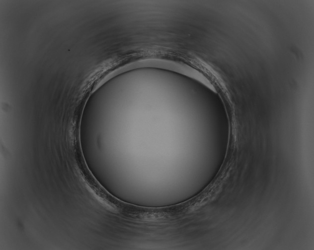 X0000090500105200708031217