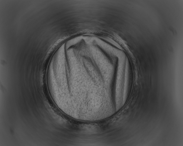 X0000090500106200708031217