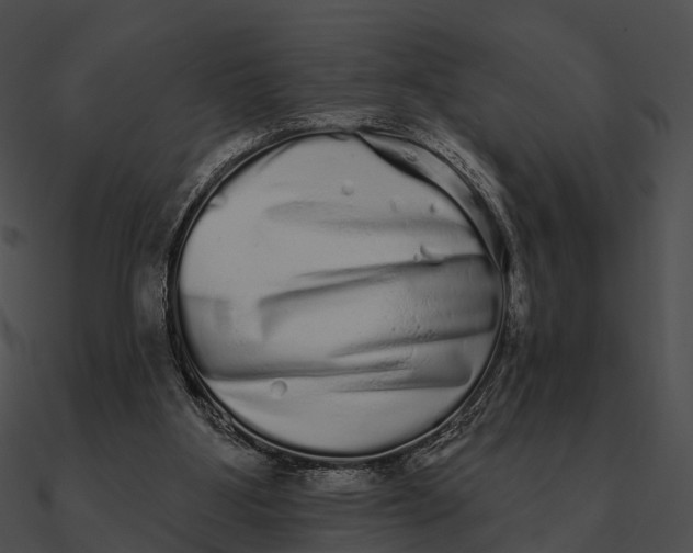 X0000090500107200708031217