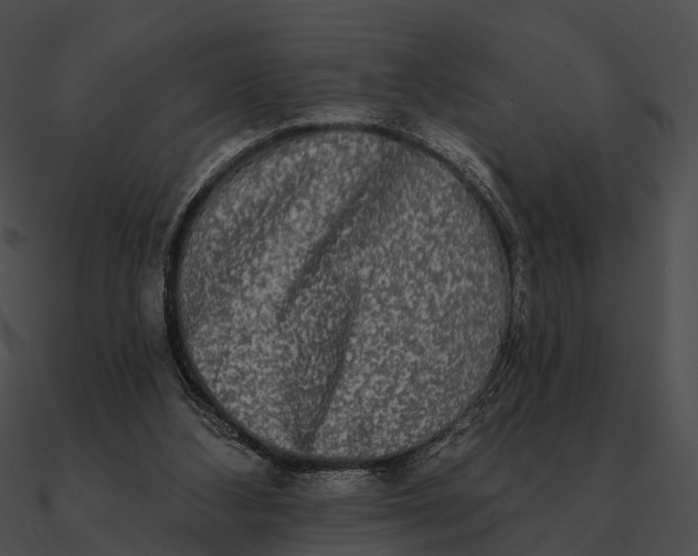 X0000090500108200708031217