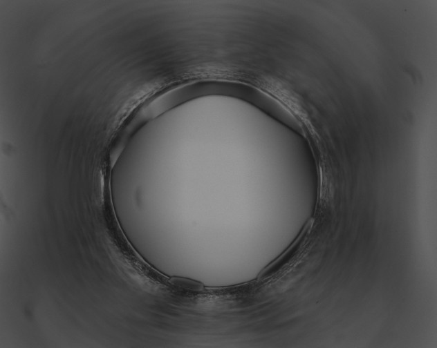 X0000090500109200708031217