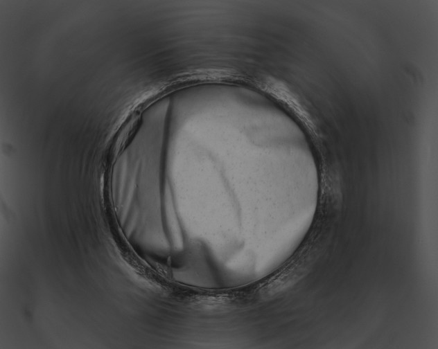 X0000090500110200708031217