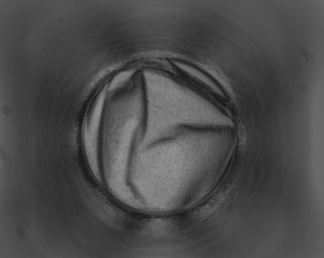 X0000090500111200708031217